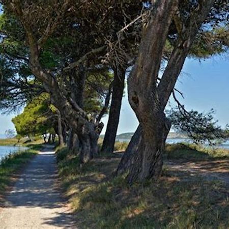 Agreable Maison De Famille Sur Gite Echarou Sigean Luaran gambar