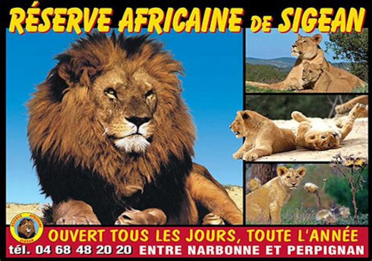 Agreable Maison De Famille Sur Gite Echarou Sigean Luaran gambar