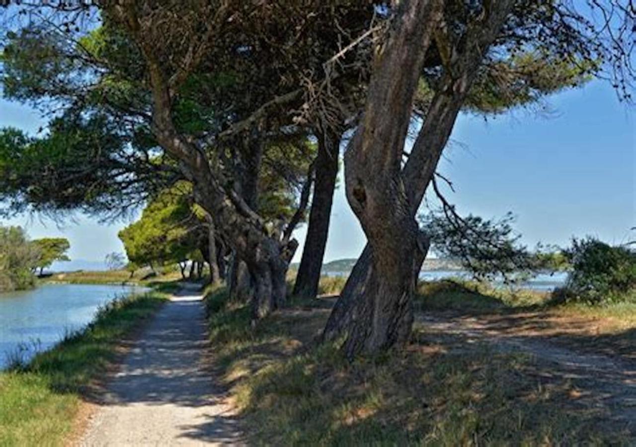 Agreable Maison De Famille Sur Gite Echarou Sigean Luaran gambar